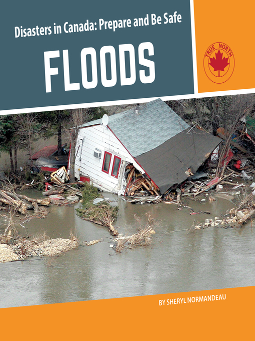 Title details for Floods by Sheryl Normandeau - Available